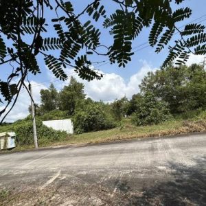 01 ที่ดินว่างเปล่า | พัทลุง ควนขนุน พนางตุง | 01-66-02056