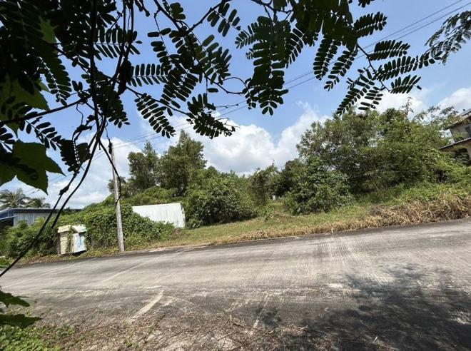 Real Estate from Banks _photo