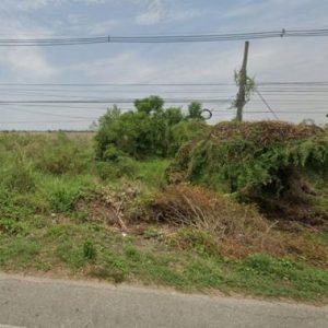 01 ที่ดินว่างเปล่า | สุโขทัย ศรีสัชนาลัย หนองอ้อ | 01-66-02058