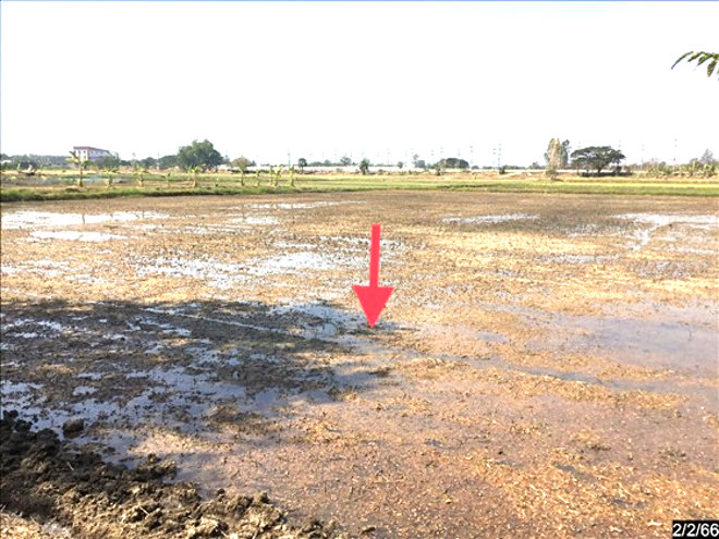 Real Estate from Banks _photo