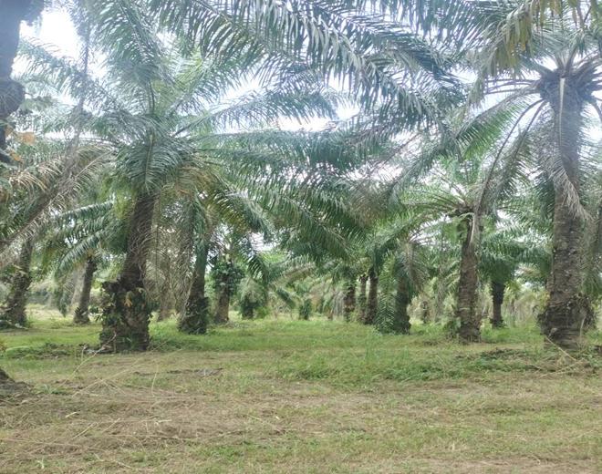 Real Estate from Banks _photo