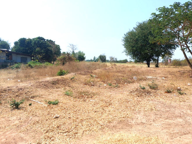 Real Estate from Banks _photo