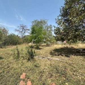 01 ที่ดินว่างเปล่า | นครราชสีมา เมืองนครราชสีมา โคกสูง | 01-66-02072