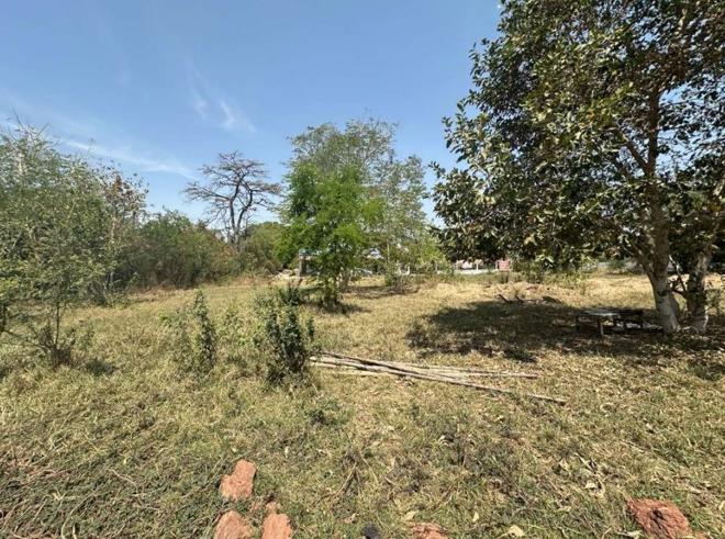 Real Estate from Banks _photo