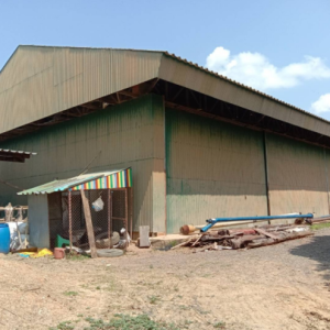 12 โกดัง | พะเยา ดอกคำใต้ สันโค้ง | 12-66-01288