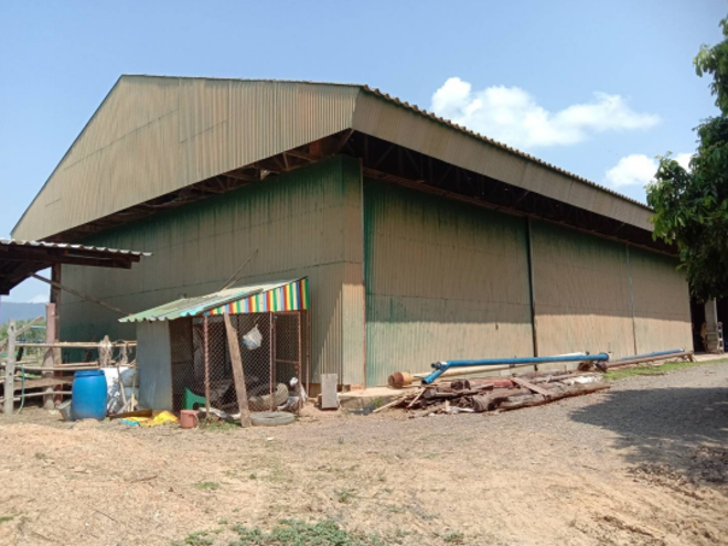 12 โกดัง | พะเยา ดอกคำใต้ สันโค้ง | 12-66-01288