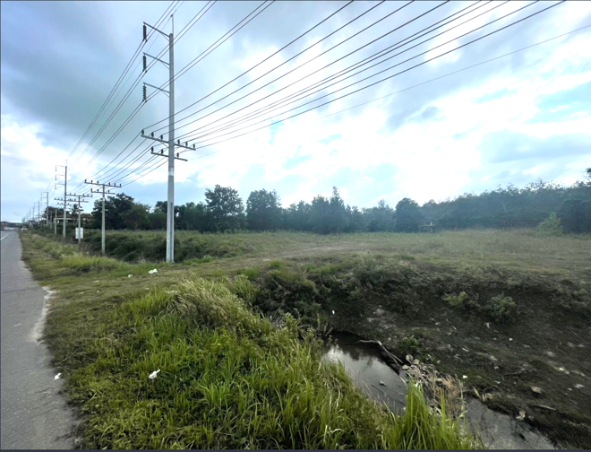 Real Estate from Banks _photo