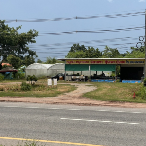 26 เพิงอเนกประสงค์ | ขอนแก่น ชุมแพ โนนหัน | 26-66-00224