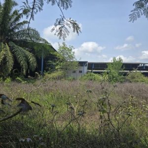 26 เพิงอเนกประสงค์ | ประจวบคีรีขันธ์ บางสะพาน พงศ์ประศาสน์ | 26-66-00225