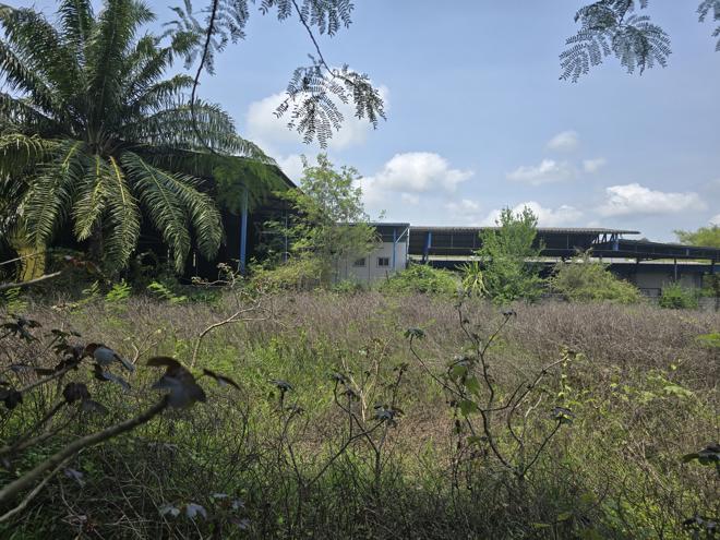 26 เพิงอเนกประสงค์ | ประจวบคีรีขันธ์ บางสะพาน พงศ์ประศาสน์ | 26-66-00225