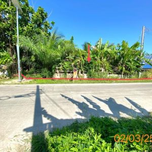 01 ที่ดินว่างเปล่า | กระบี่ เหนือคลอง เหนือคลอง | 01-88-12411