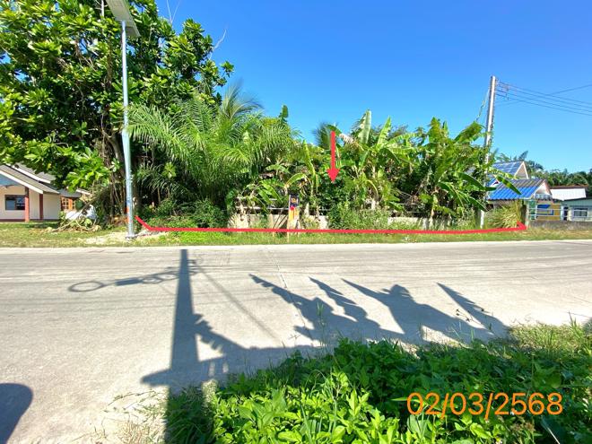 Real Estate from Banks _photo