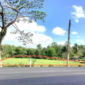 01 ที่ดินว่างเปล่า | พัทลุง เขาชัยสน หานโพธิ์ | 01-88-12406