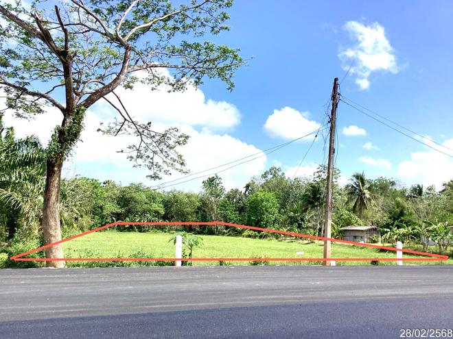 Real Estate from Banks _photo