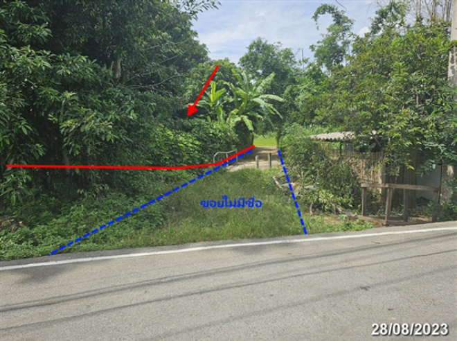 Real Estate from Banks _photo