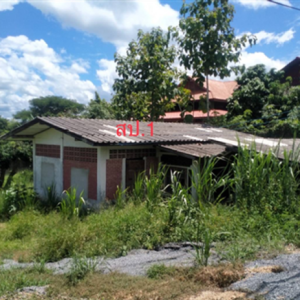 02 บ้านเดี่ยว | เชียงใหม่ ดอยหล่อ ดอยหล่อ | 02-66-05383