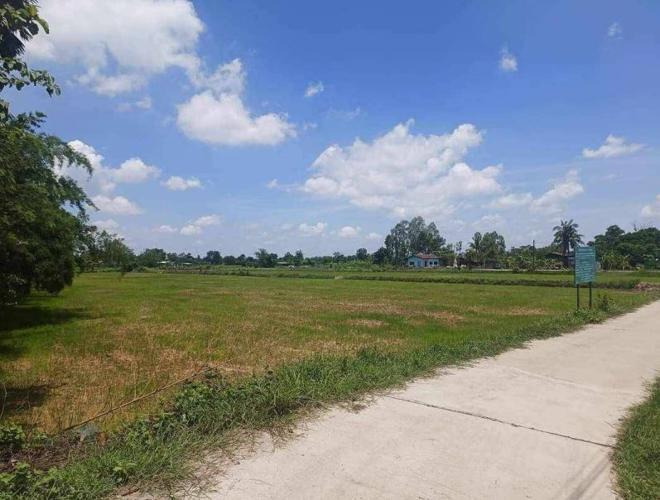 Real Estate from Banks _photo