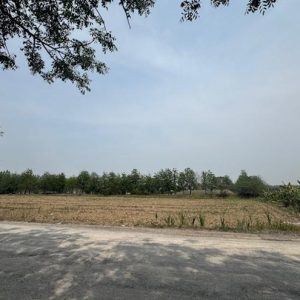 01 ที่ดินว่างเปล่า | เลย เอราวัณ เอราวัณ | 01-66-02091