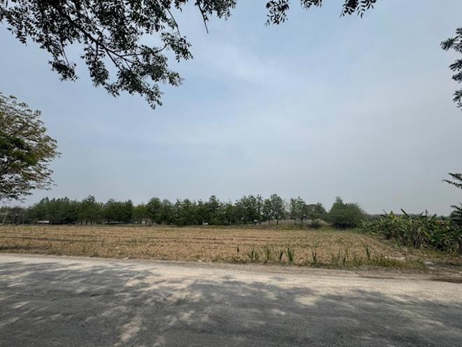 Real Estate from Banks _photo