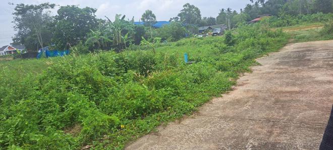 Real Estate from Banks _photo