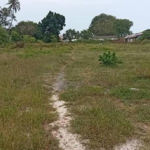 01 ที่ดินว่างเปล่า | สุราษฎร์ธานี เกาะสมุย บ่อผุด | 01-66-02096