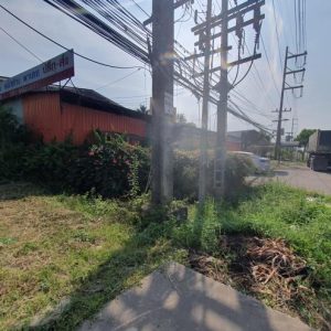 12 โกดัง | สงขลา หาดใหญ่ คอหงส์ | 12-66-01297