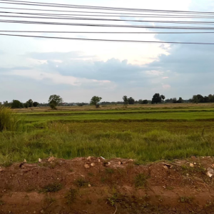 01 ที่ดินว่างเปล่า | นครราชสีมา สูงเนิน นากลาง | 01-66-02100