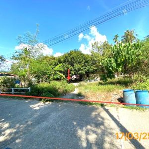 01 ที่ดินว่างเปล่า | พังงา ตะกั่วป่า บางนายสี | 01-88-12405