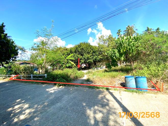 Real Estate from Banks _photo