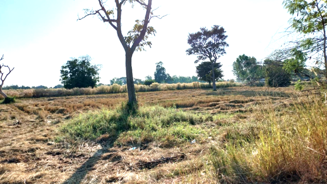 Real Estate from Banks _photo