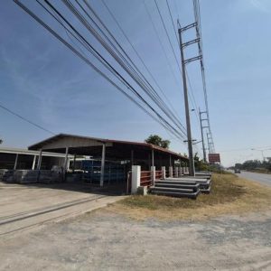 12 โกดัง | มหาสารคาม โกสุมพิสัย แพง | 12-66-01300