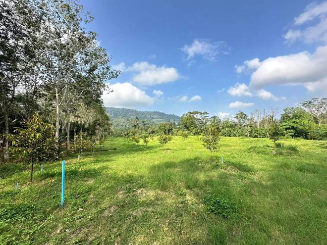 Real Estate from Banks _photo