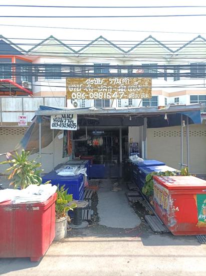 04 อาคารพาณิชย์ | พระนครศรีอยุธยา พระนครศรีอยุธยา ลุมพลี | 04-66-03147