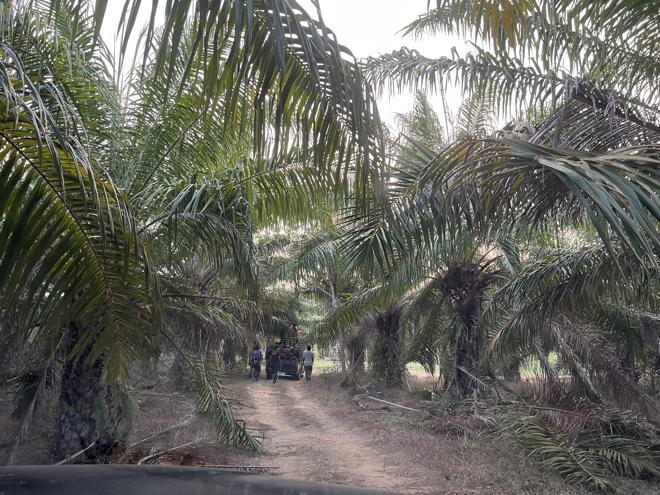 Real Estate from Banks _photo