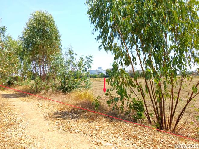 Real Estate from Banks _photo