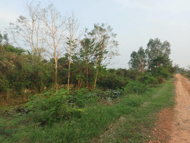 Real Estate from Banks _photo