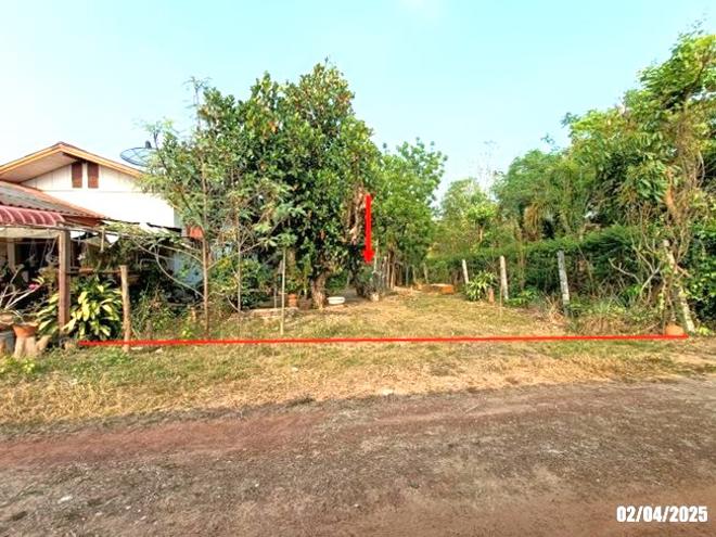 Real Estate from Banks _photo