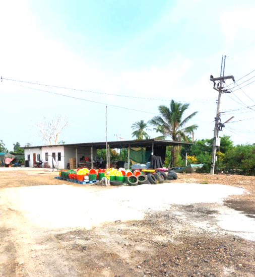 26 เพิงอเนกประสงค์ | พระนครศรีอยุธยา ลาดบัวหลวง สิงหนาท | 26-66-00227