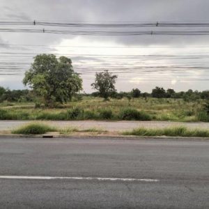 01 ที่ดินว่างเปล่า | นครราชสีมา สูงเนิน มะเกลือเก่า | 01-66-02113