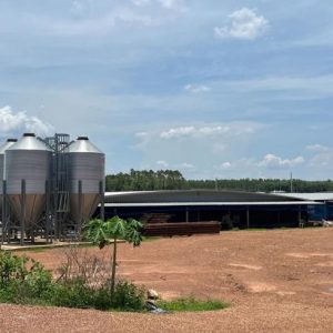 13 ฟาร์ม | ปราจีนบุรี กบินทร์บุรี ลาดตะเคียน | 13-66-00052