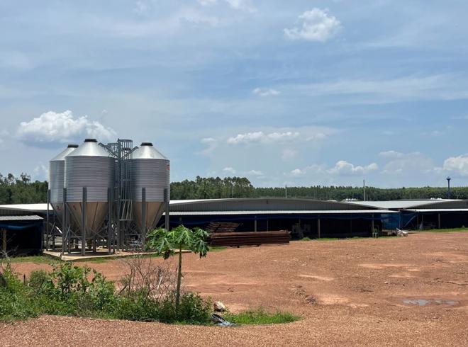 13 ฟาร์ม | ปราจีนบุรี กบินทร์บุรี ลาดตะเคียน | 13-66-00052