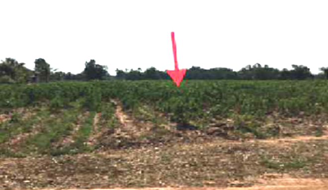 Real Estate from Banks _photo