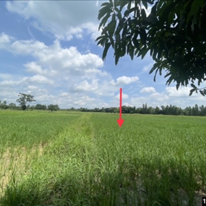 01 ที่ดินว่างเปล่า | ขอนแก่น บ้านฝาง บ้านเหล่า | 01-66-02126