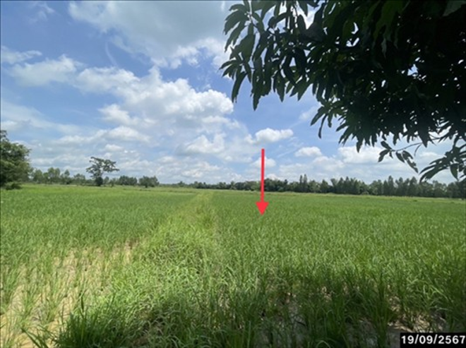 Real Estate from Banks _photo