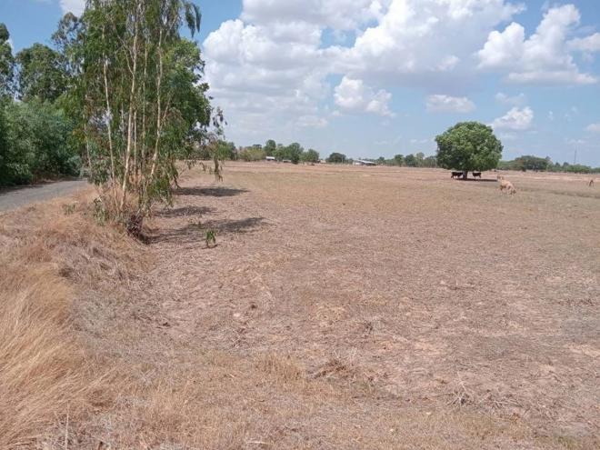 Real Estate from Banks _photo