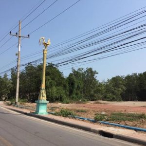 01 ที่ดินว่างเปล่า | สมุทรสงคราม เมืองสมุทรสงคราม บางจะเกร็ง | 01-66-02128