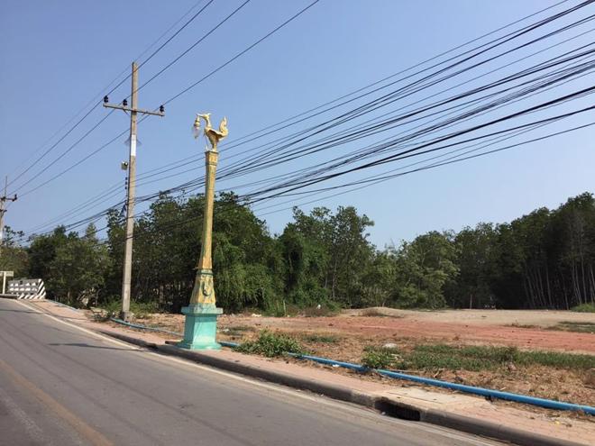 Real Estate from Banks _photo