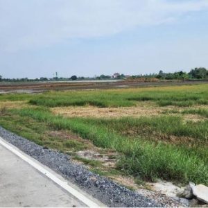 01 ที่ดินว่างเปล่า | ฉะเชิงเทรา เมืองฉะเชิงเทรา คลองอุดมชลจร | 01-66-02129