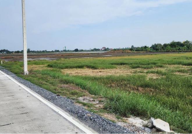 Real Estate from Banks _photo