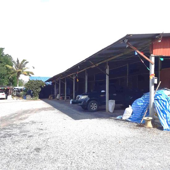 02 บ้านเดี่ยว | พระนครศรีอยุธยา ผักไห่ หนองน้ำใหญ่ | 02-66-05449